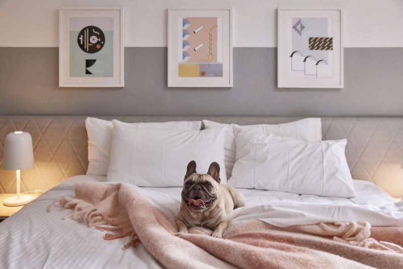 Enjoy The Ultimo, Hotel, in Sydney CBD, Greater Sydney, a perfect accommodation for dogs for relaxation.