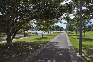 Dog-friendly park in Sydney with off-leash and on-leash areas, picnic spaces, and waterfront views.