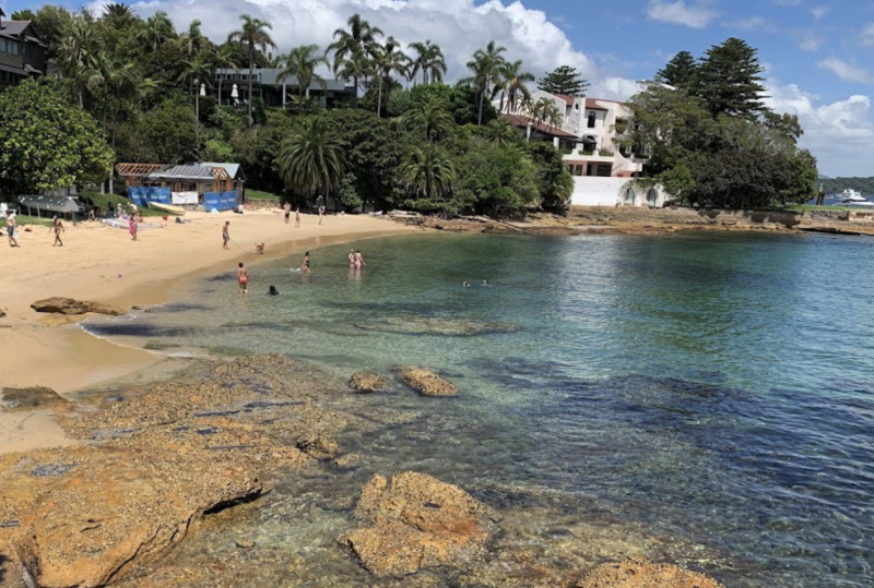 Breathtaking views and dog-friendly spot fun await at Kutti Beach in Sydney.