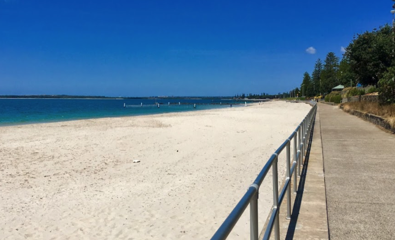 Dog-friendly beach at Lady Robinsons Beach in Sydney.