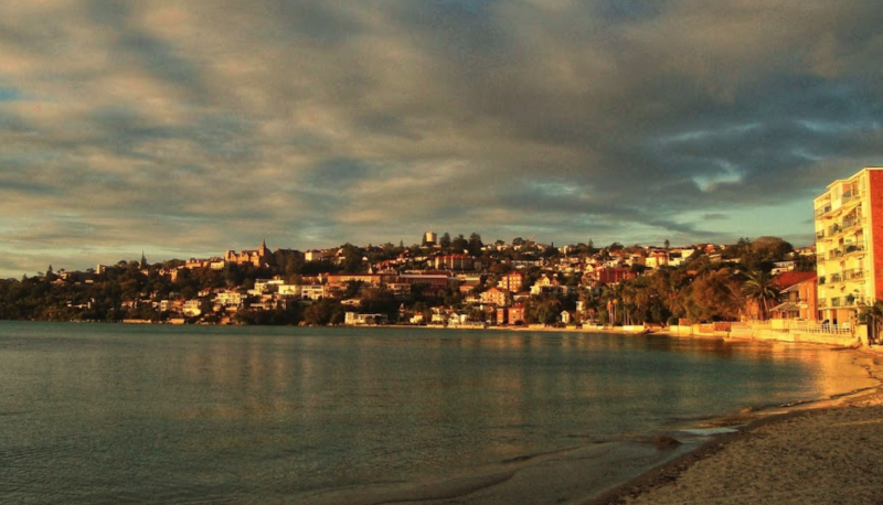 Rose Bay Beach: Perfect beach getaway for dogs and owners in Rose Bay.