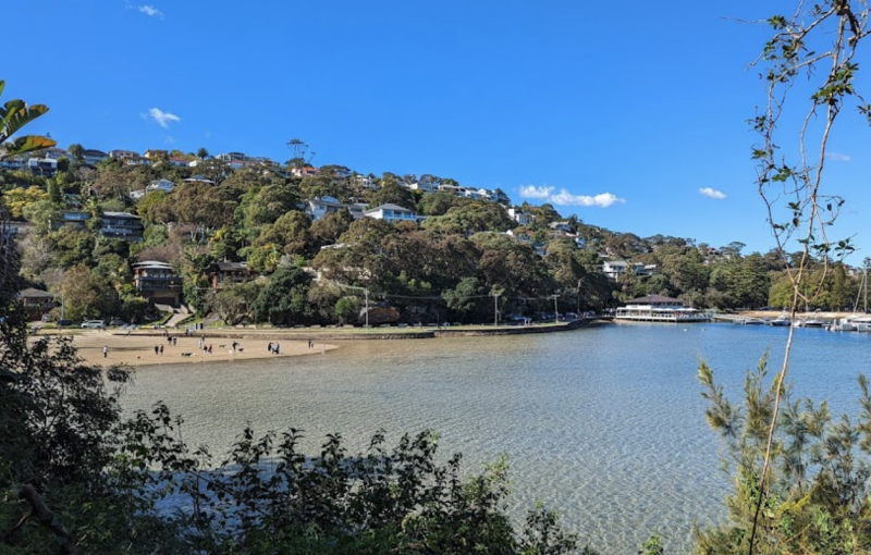 Dog-friendly beach at Sandy Bay in Sydney.