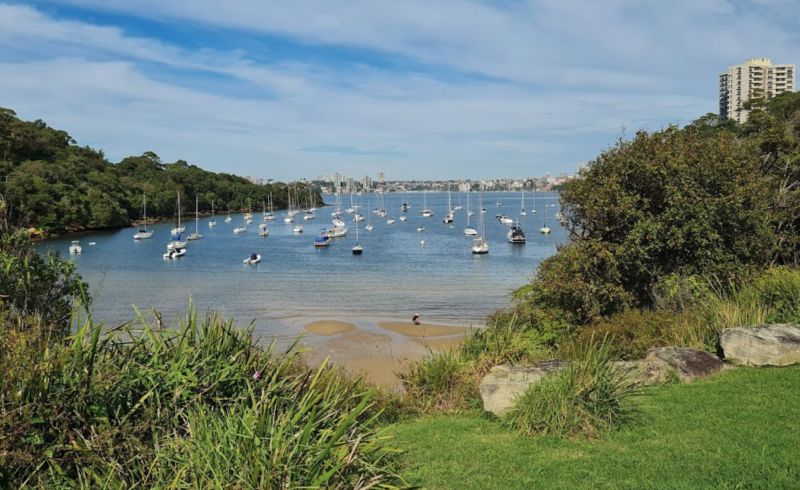 Sirius Cove Reserve: The ultimate puppy-friendly coast experience in Mosman, New South Wales.