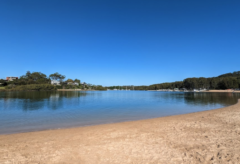 A tranquil beachside scene at Bayview Dog Park in Pittwater, featuring calm blue waters, a sandy shoreline, anchored boats, and lush green surroundings.