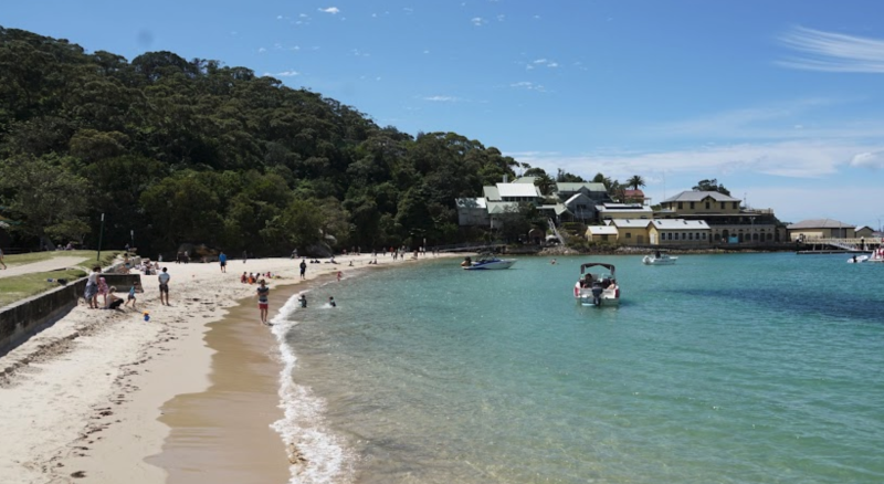 A peaceful scene of Clifton Gardens Beach with calm waters, a dog-friendly sandy beach, and yachts sailing in the background.