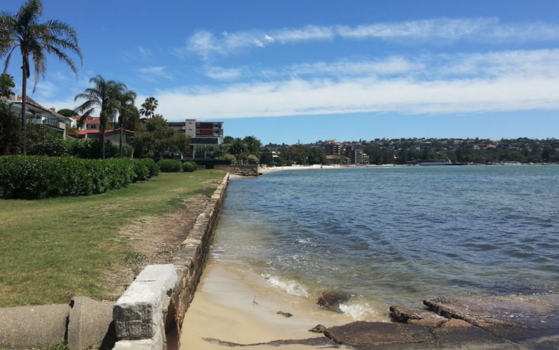 A view of Dumaresq Reserve at low tide, with exposed sandy shoreline and a lush grassy area, perfect for dogs and their owners to enjoy.