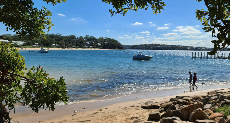 Dog walking along Horderns Beach in Bundeena with calm water, sandy shore, and bush backdrop in southern Sydney.