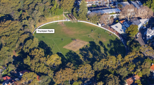 Shady walking path at Trumper Park with trees and natural bushland, perfect for on-leash dog walks.