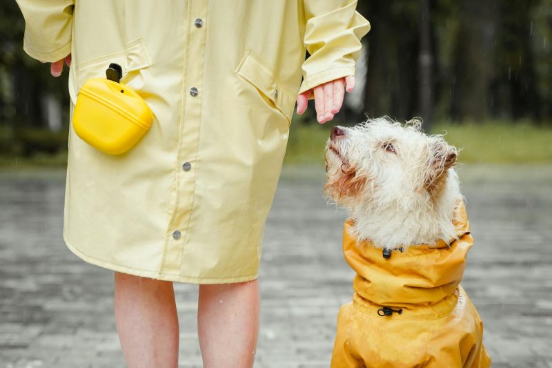 Dog in yellow raincoat looking up at owner in yellow raincoat on a wet city street.