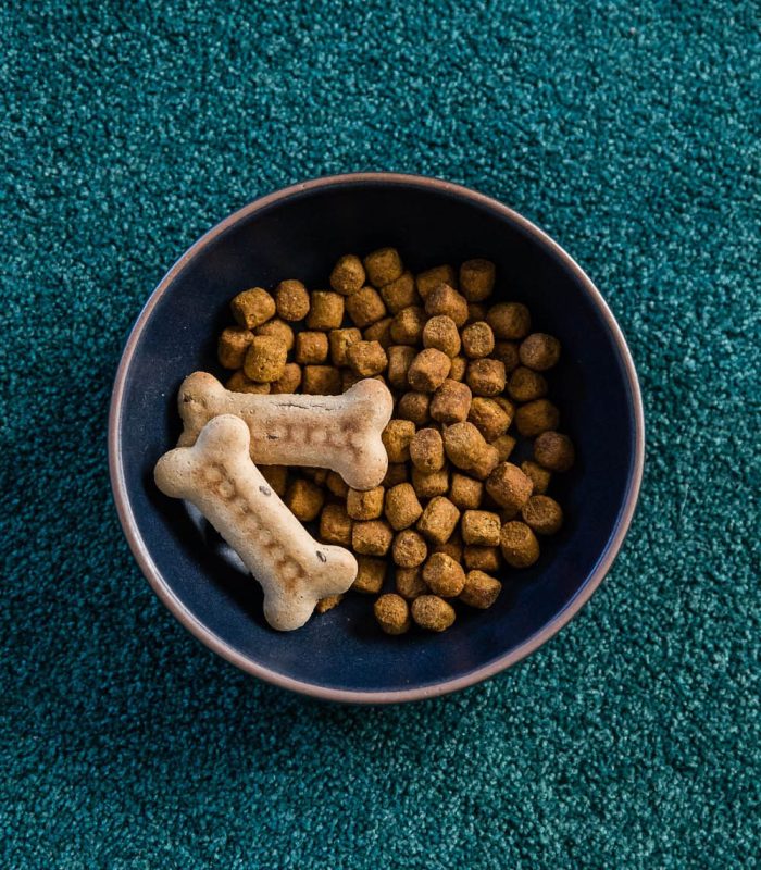 Bowl of dog biscuits and kibble at The Old Clare Hotel, a pet friendly accommodation in Sydney’s Surry Hills.