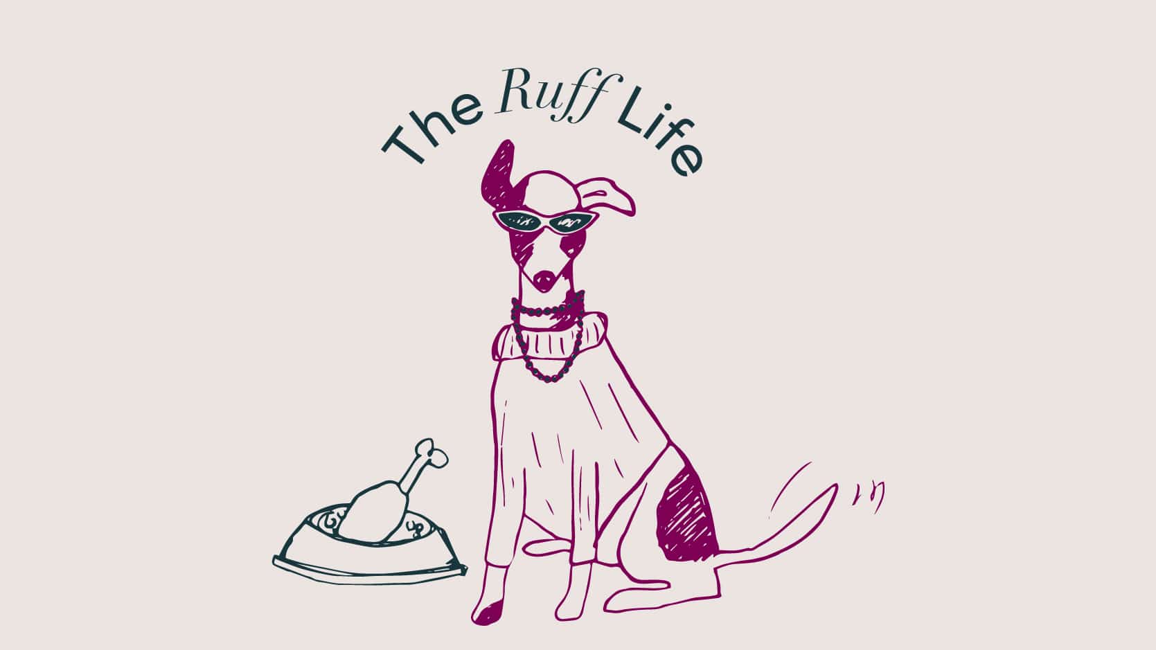 The Ruff Life pet friendly program at Ovolo Woolloomooloo Sydney, offering VIPooch stays for dogs.