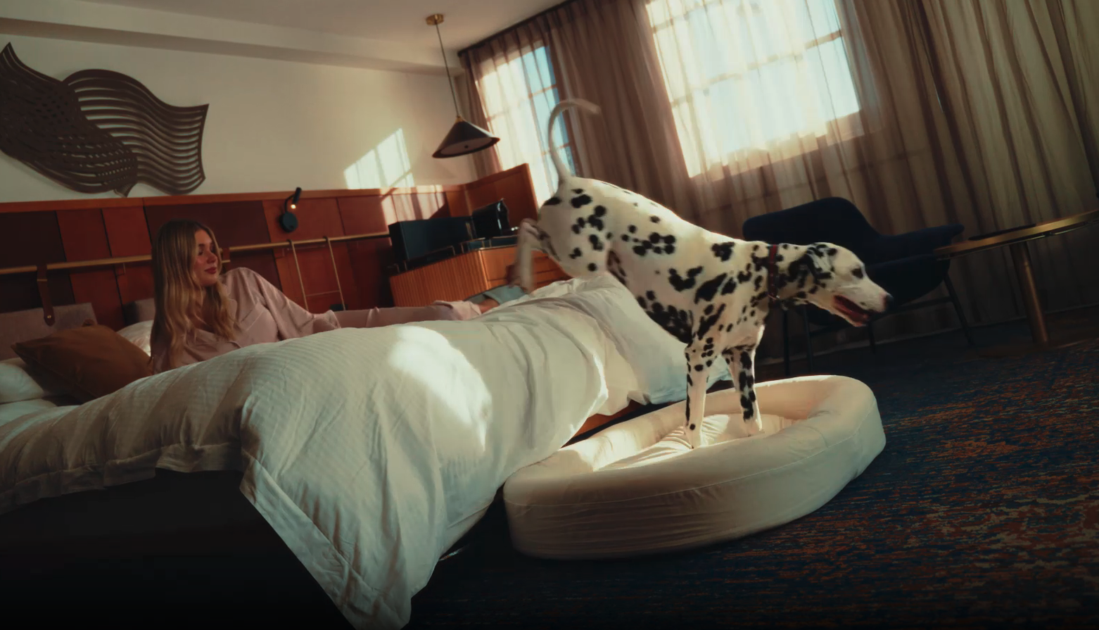 Dalmatian dog enjoying a pet bed while guest relaxes in a Pier One Sydney Harbour hotel room.