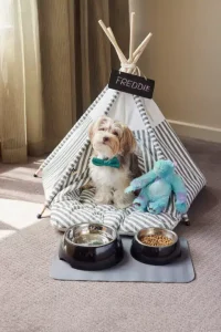 Dog sitting in a teepee with food and water bowls at The View Hotel North Sydney, a pet friendly hotel.