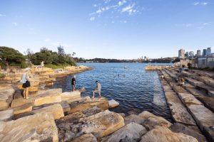 People enjoying the water at Marrinawi Cove, Barangaroo Reserve in Sydney, a dog friendly swimming spot.