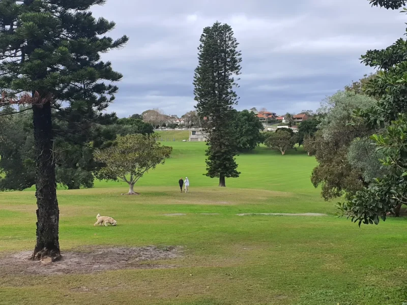 Dog walking on the grass at Queens Park Sydney, a large dog friendly park near Centennial Parklands.